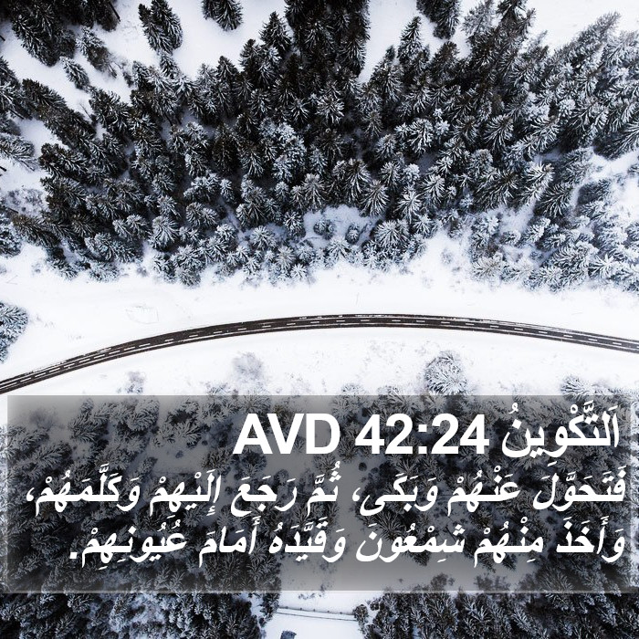 اَلتَّكْوِينُ 42:24 AVD Bible Study