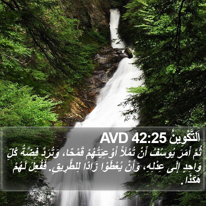 اَلتَّكْوِينُ 42:25 AVD Bible Study