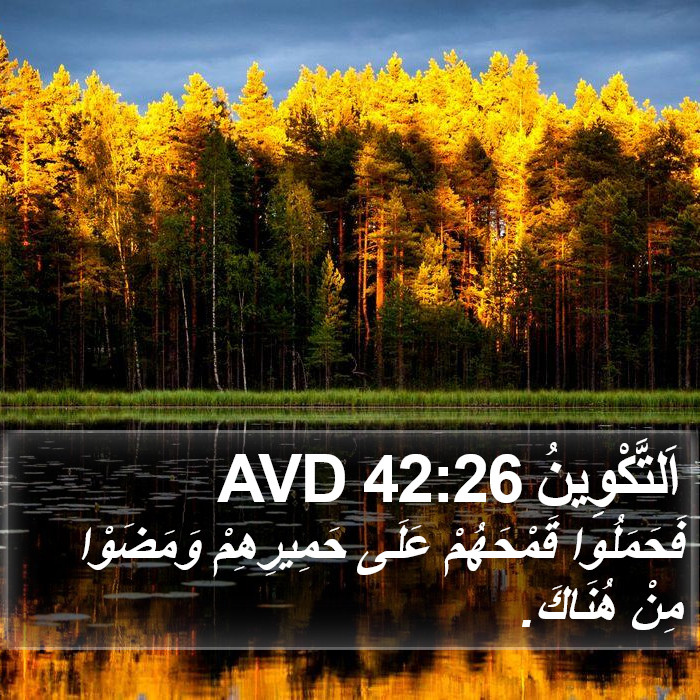 اَلتَّكْوِينُ 42:26 AVD Bible Study
