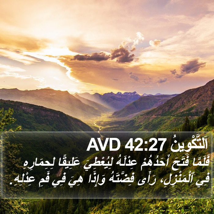 اَلتَّكْوِينُ 42:27 AVD Bible Study