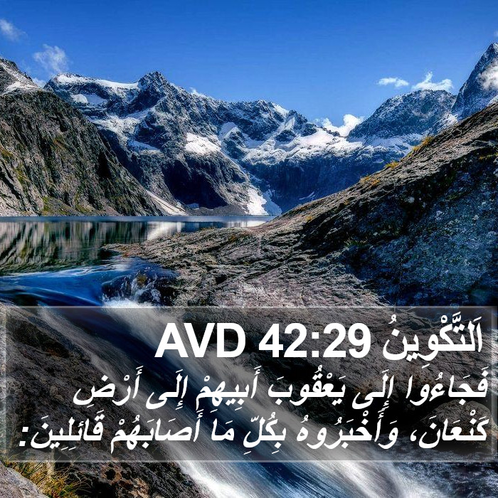 اَلتَّكْوِينُ 42:29 AVD Bible Study