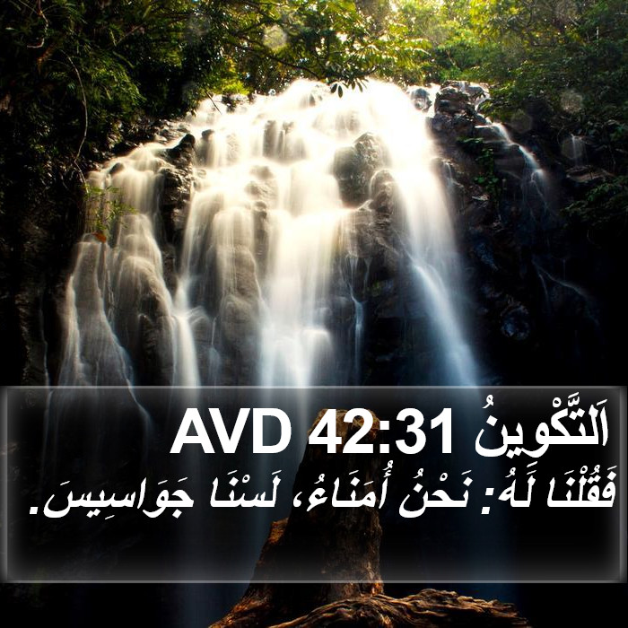 اَلتَّكْوِينُ 42:31 AVD Bible Study