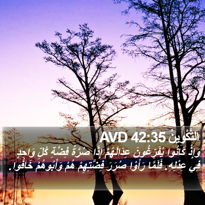 اَلتَّكْوِينُ 42:35 AVD Bible Study