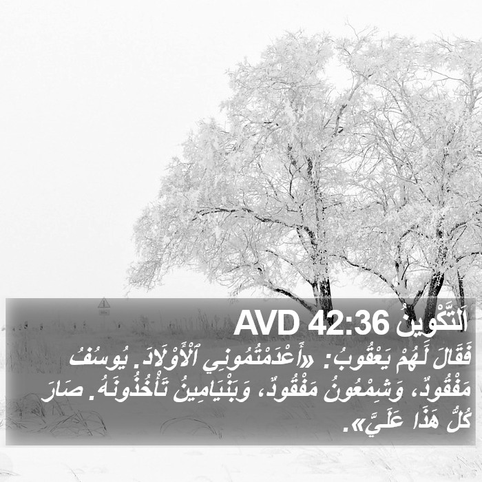 اَلتَّكْوِينُ 42:36 AVD Bible Study