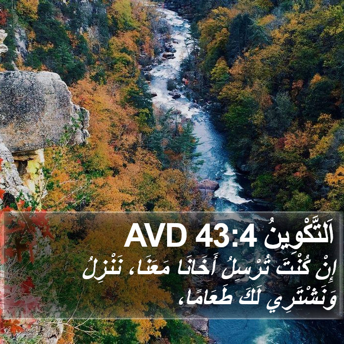 اَلتَّكْوِينُ 43:4 AVD Bible Study