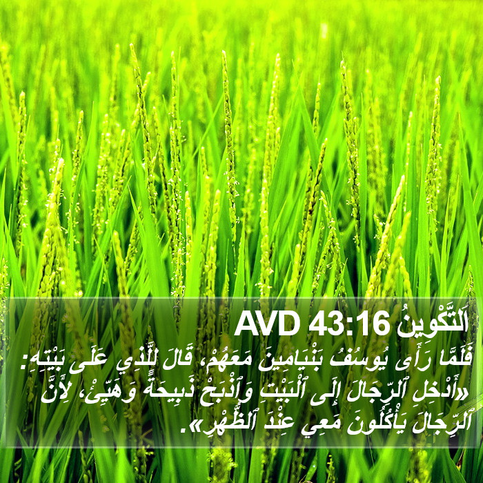 اَلتَّكْوِينُ 43:16 AVD Bible Study