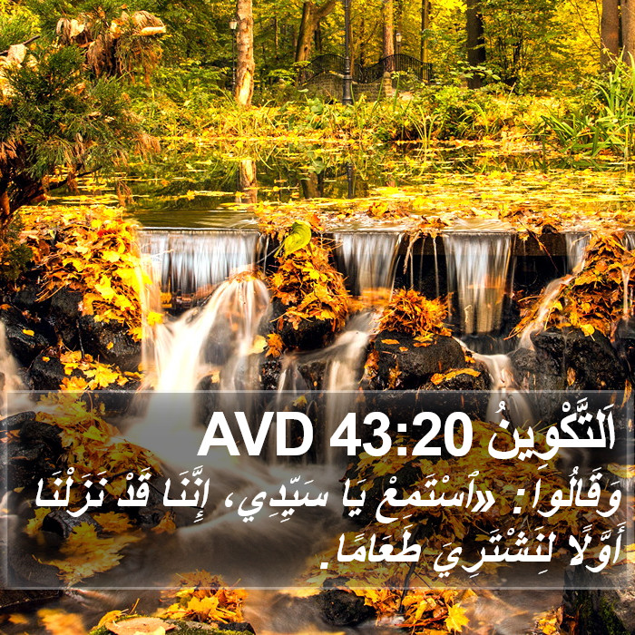 اَلتَّكْوِينُ 43:20 AVD Bible Study