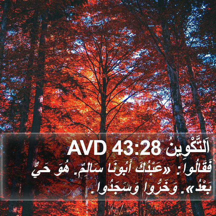 اَلتَّكْوِينُ 43:28 AVD Bible Study