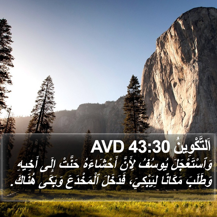 اَلتَّكْوِينُ 43:30 AVD Bible Study