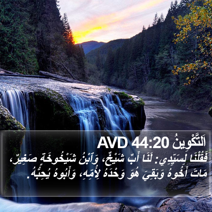 اَلتَّكْوِينُ 44:20 AVD Bible Study