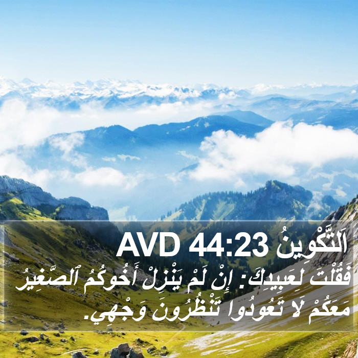 اَلتَّكْوِينُ 44:23 AVD Bible Study