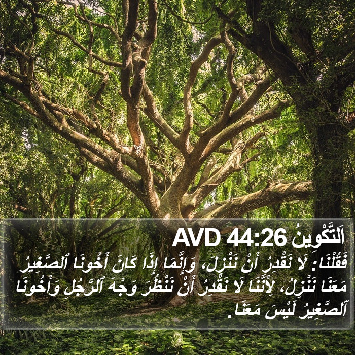 اَلتَّكْوِينُ 44:26 AVD Bible Study