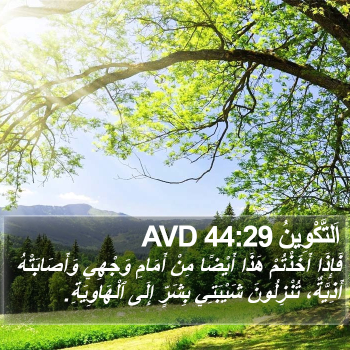 اَلتَّكْوِينُ 44:29 AVD Bible Study