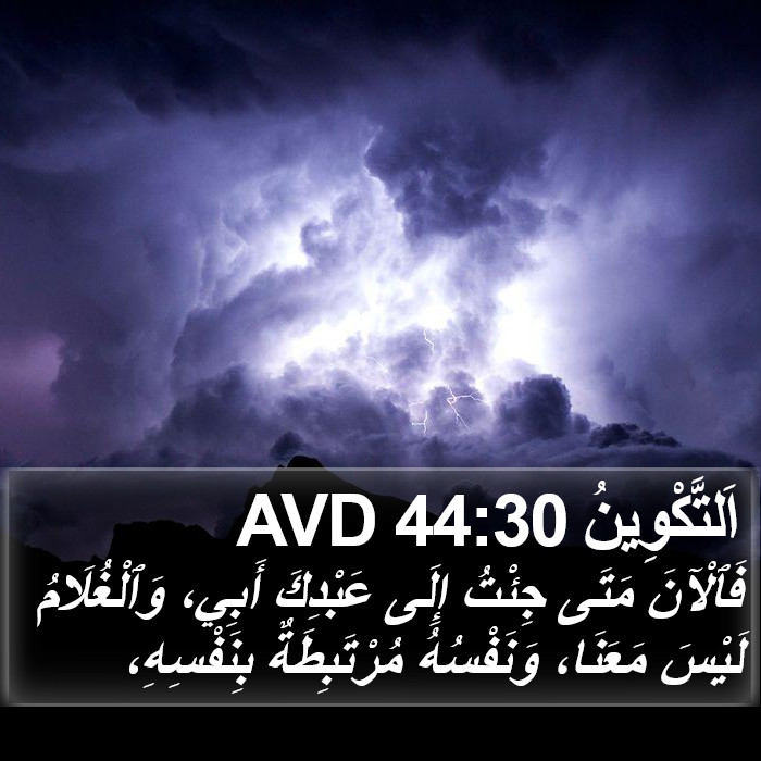 اَلتَّكْوِينُ 44:30 AVD Bible Study