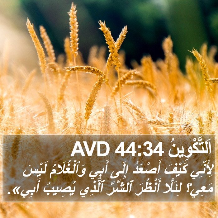 اَلتَّكْوِينُ 44:34 AVD Bible Study
