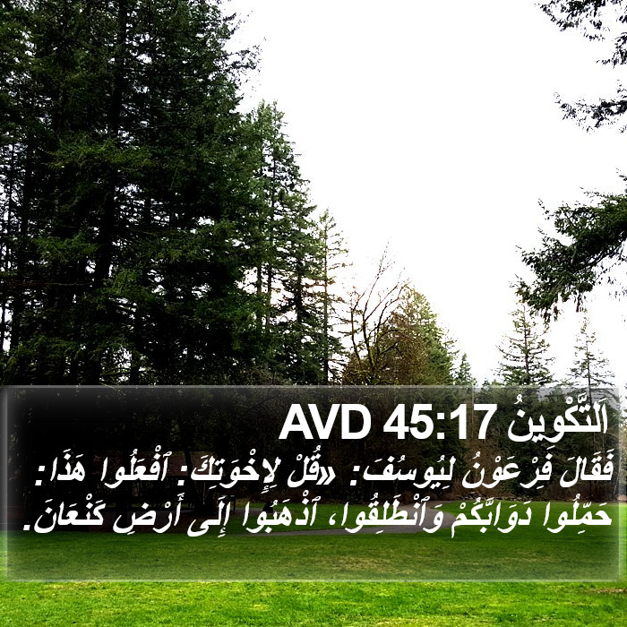 اَلتَّكْوِينُ 45:17 AVD Bible Study