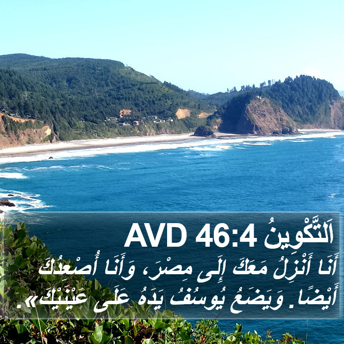 اَلتَّكْوِينُ 46:4 AVD Bible Study