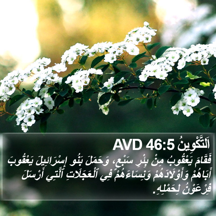 اَلتَّكْوِينُ 46:5 AVD Bible Study