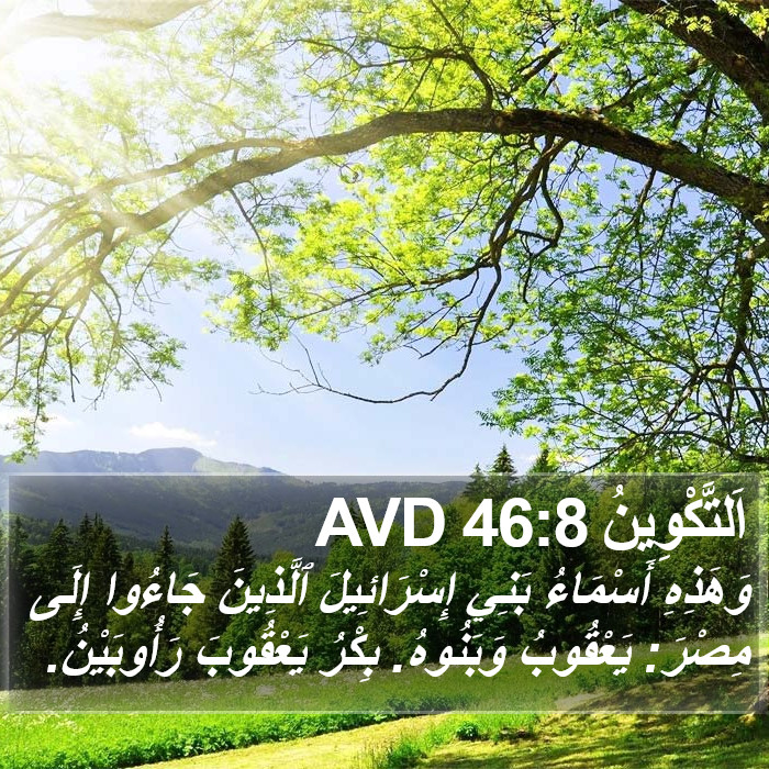 اَلتَّكْوِينُ 46:8 AVD Bible Study