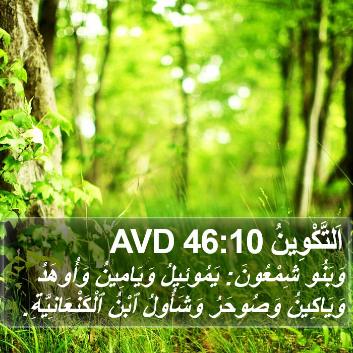 اَلتَّكْوِينُ 46:10 AVD Bible Study