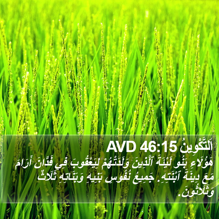 اَلتَّكْوِينُ 46:15 AVD Bible Study