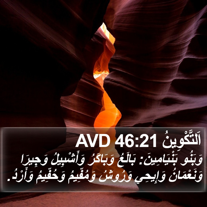 اَلتَّكْوِينُ 46:21 AVD Bible Study