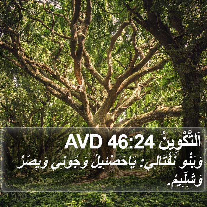 اَلتَّكْوِينُ 46:24 AVD Bible Study