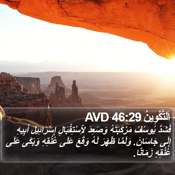 اَلتَّكْوِينُ 46:29 AVD Bible Study