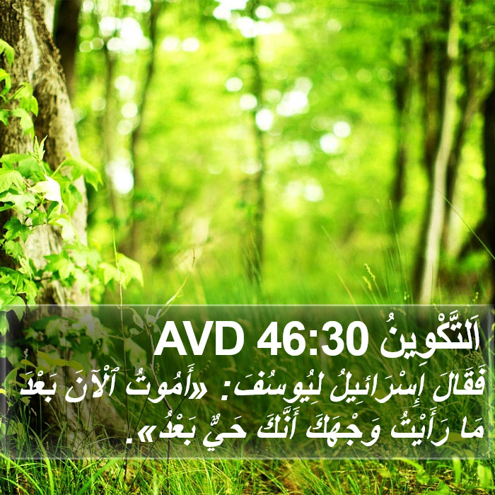 اَلتَّكْوِينُ 46:30 AVD Bible Study