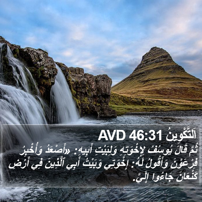 اَلتَّكْوِينُ 46:31 AVD Bible Study