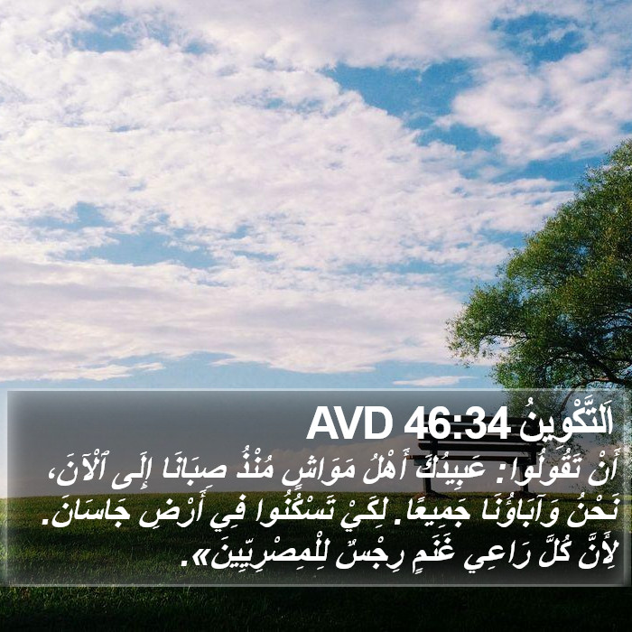 اَلتَّكْوِينُ 46:34 AVD Bible Study