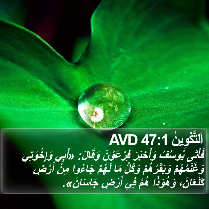 اَلتَّكْوِينُ 47:1 AVD Bible Study