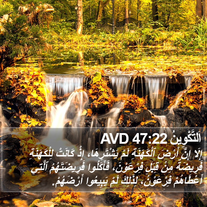 اَلتَّكْوِينُ 47:22 AVD Bible Study