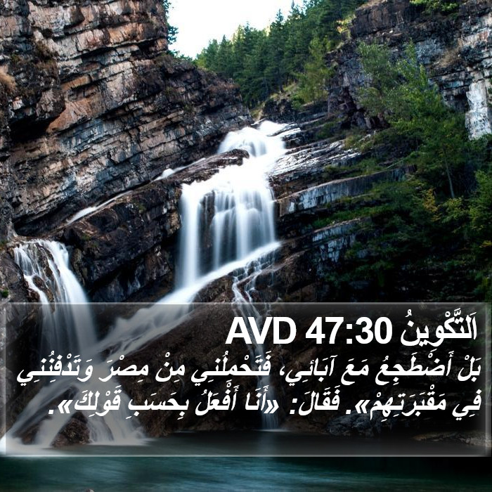 اَلتَّكْوِينُ 47:30 AVD Bible Study