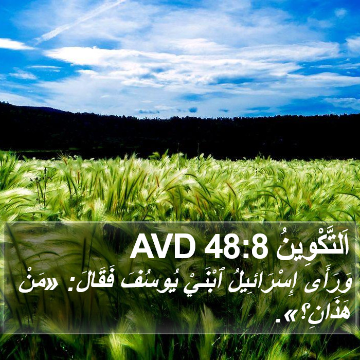 اَلتَّكْوِينُ 48:8 AVD Bible Study