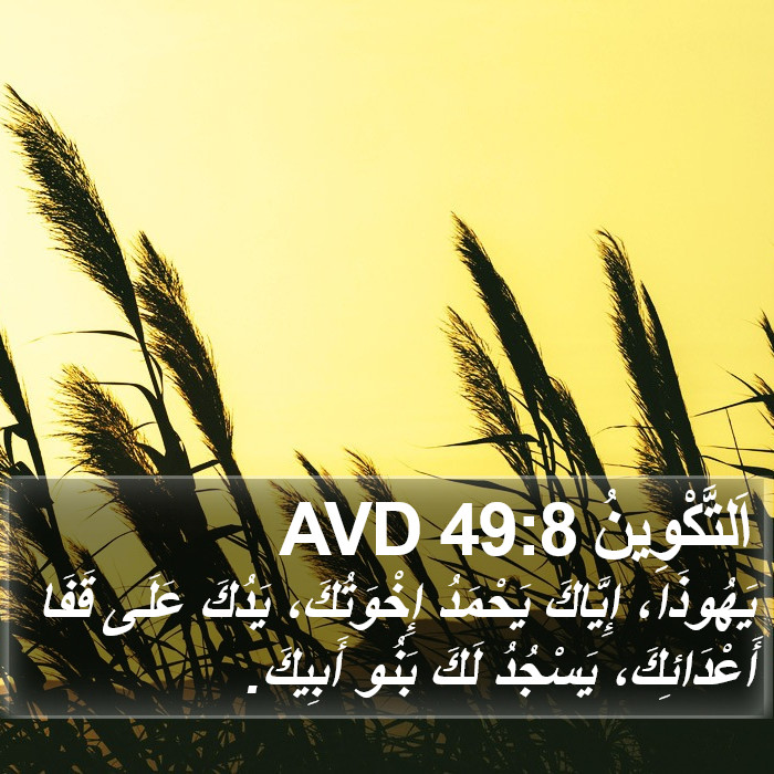 اَلتَّكْوِينُ 49:8 AVD Bible Study