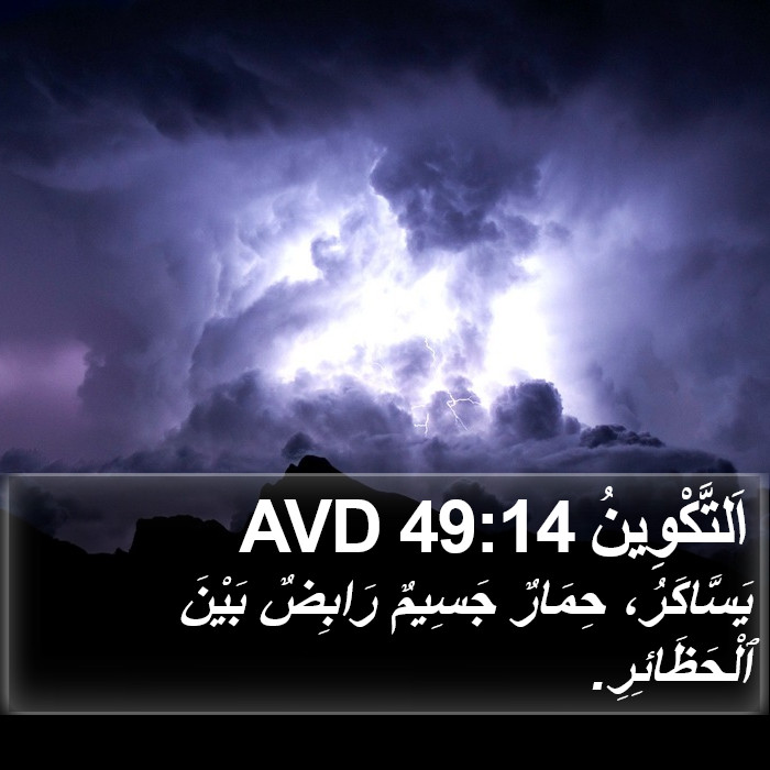 اَلتَّكْوِينُ 49:14 AVD Bible Study
