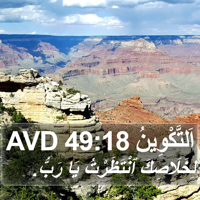 اَلتَّكْوِينُ 49:18 AVD Bible Study
