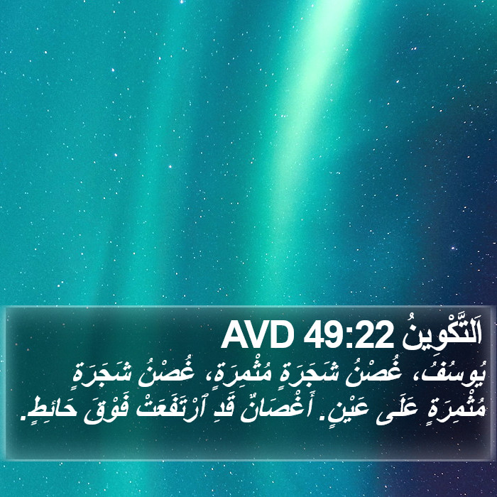 اَلتَّكْوِينُ 49:22 AVD Bible Study