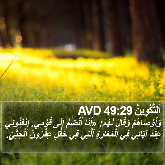 اَلتَّكْوِينُ 49:29 AVD Bible Study