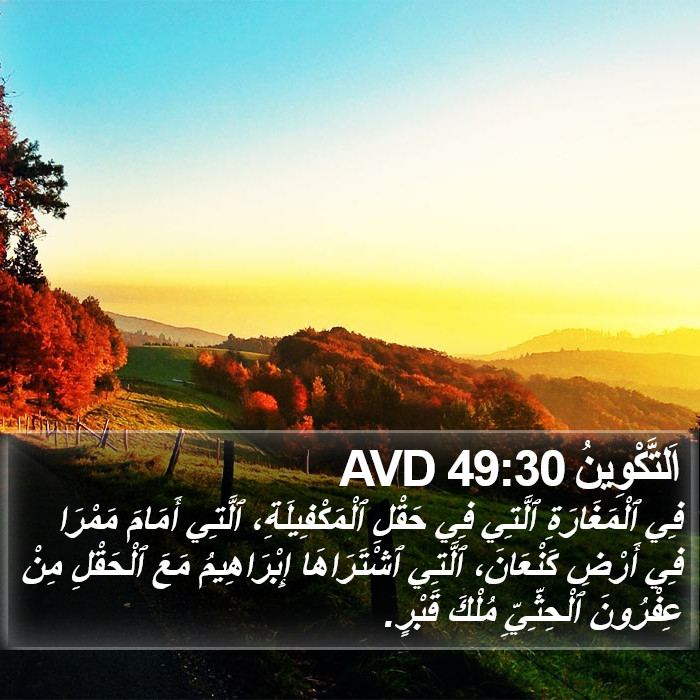 اَلتَّكْوِينُ 49:30 AVD Bible Study