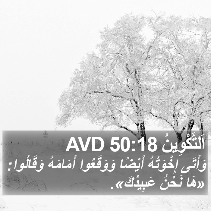 اَلتَّكْوِينُ 50:18 AVD Bible Study