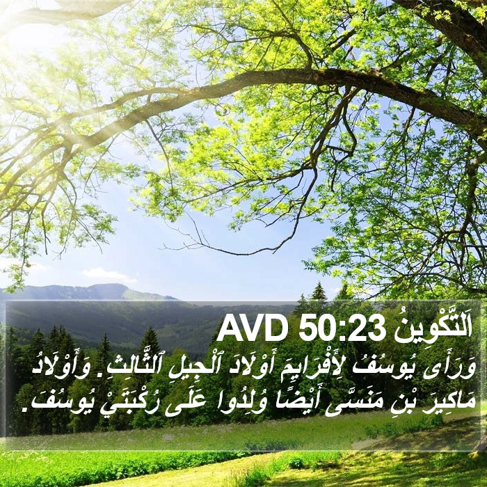 اَلتَّكْوِينُ 50:23 AVD Bible Study