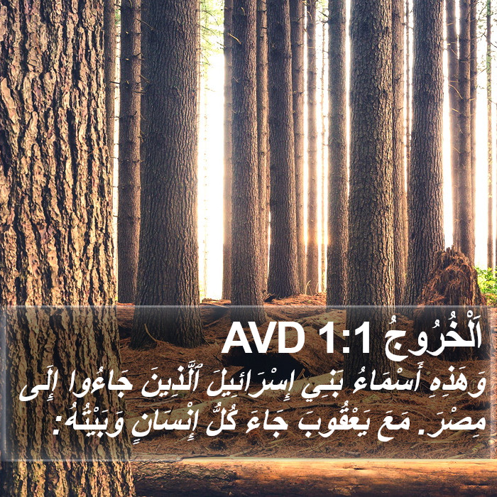 اَلْخُرُوجُ 1:1 AVD Bible Study