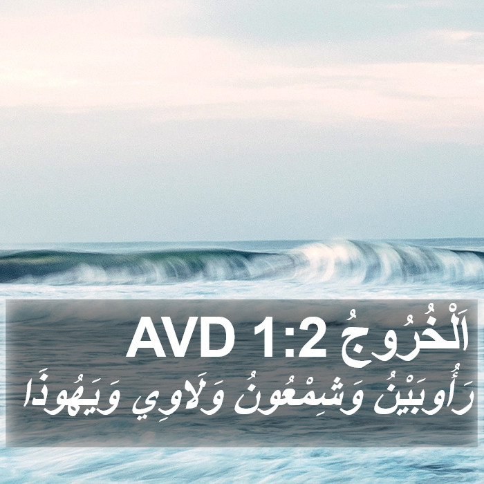 اَلْخُرُوجُ 1:2 AVD Bible Study