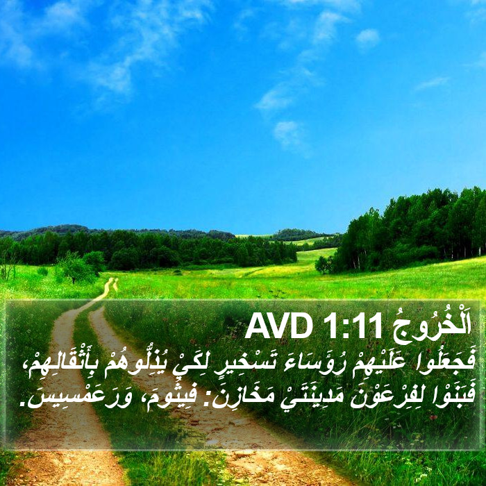 اَلْخُرُوجُ 1:11 AVD Bible Study