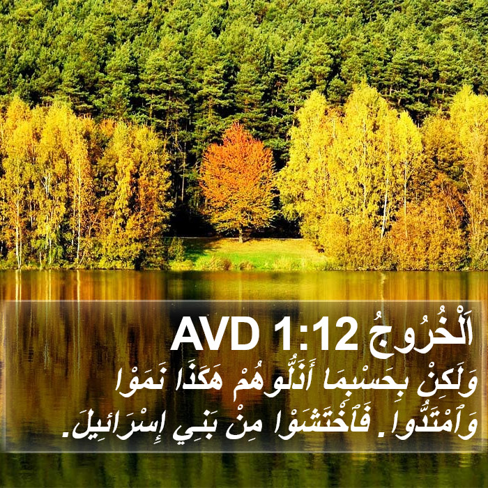 اَلْخُرُوجُ 1:12 AVD Bible Study