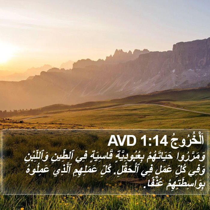 اَلْخُرُوجُ 1:14 AVD Bible Study