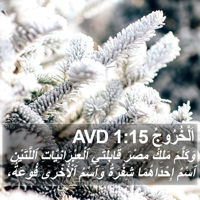 اَلْخُرُوجُ 1:15 AVD Bible Study