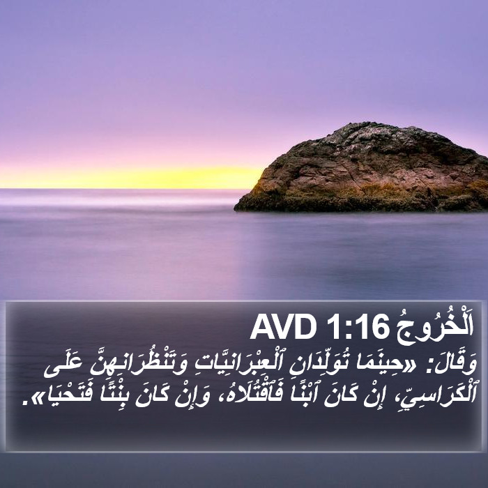 اَلْخُرُوجُ 1:16 AVD Bible Study